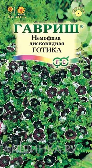 Семена Немофила дисковидная Готика 0,2 г