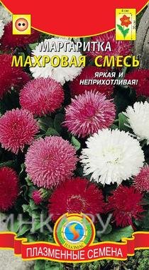 Семена Маргаритка махровая Смесь