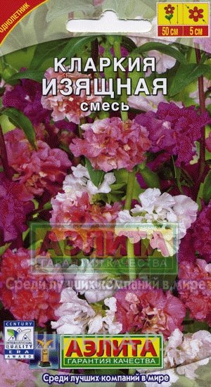 Семена Кларкия Изящная, смесь окрасок