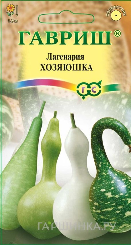 Семена Лагенария Хозяюшка, смесь 5 шт.