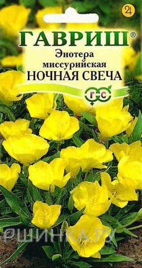 Семена Энотера миссурийская Ночная свеча 0,2 г
