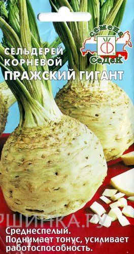 Семена Сельдерей Пражский гигант