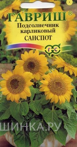 Семена Подсолнечник карликовый Санспот 0,5 г