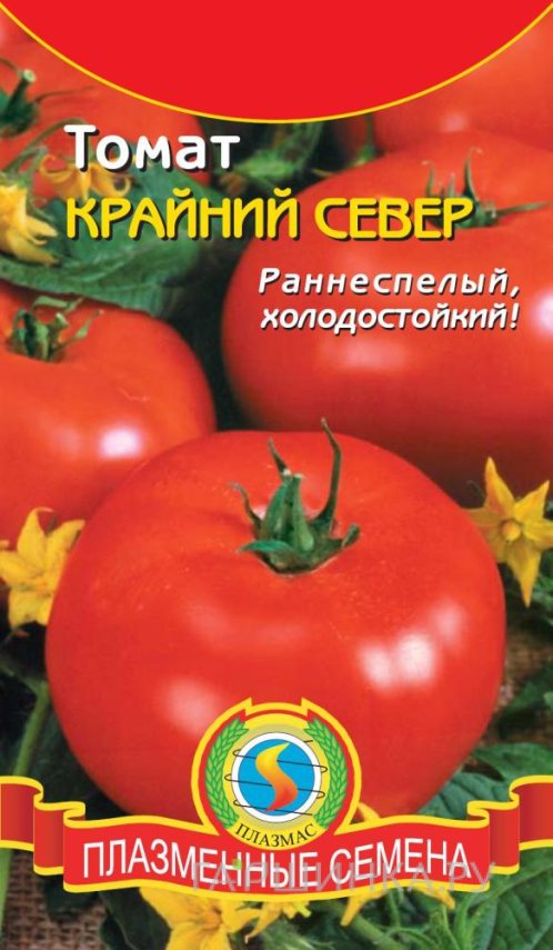 Семена Томат Крайний север 0,1г