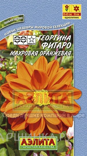 Семена Георгина Фигаро оранжевая ц/п