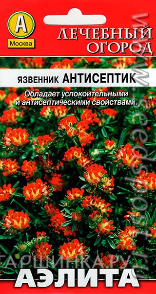 Семена Язвенник Антисептик