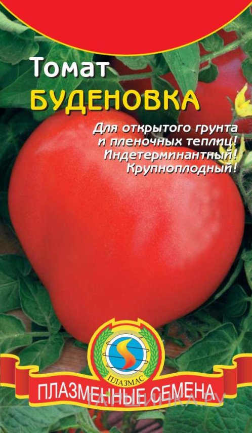 Семена Томат Буденовка