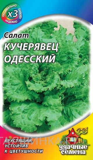 Семена Салат полукочанный Кучерявец Одесский 0,5 г хрустящий