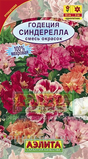 Семена Годеция Синдерелла ц/п