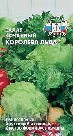 Семена Салат кочанный Королева льда (айсберг)