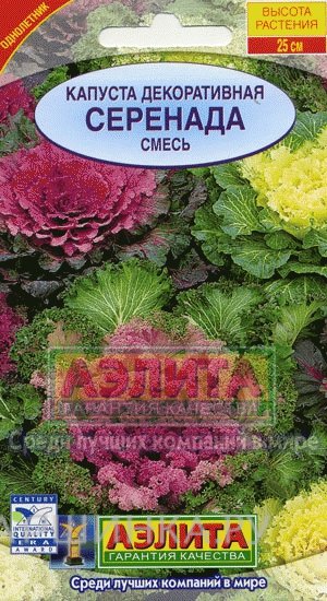 Семена Капуста декоративная Серенада, смесь окрасок