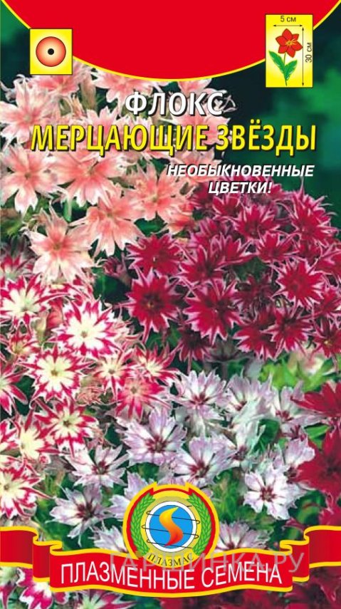 Семена Флокс Мерцающие звёзды