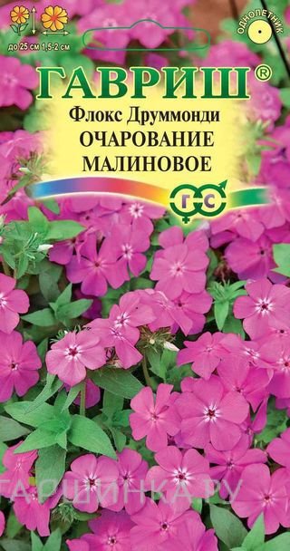 Семена Флокс Очарование малиновое, друммонда* 0,05 г
