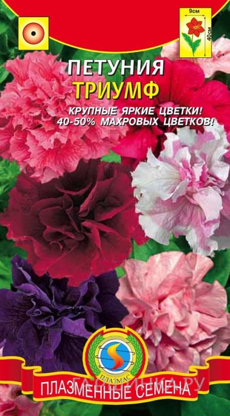 Семена Петуния Триумф