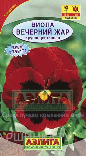 Семена Виола Вечерний жар