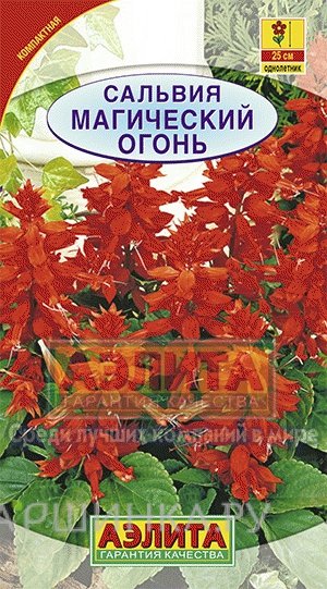 Семена Сальвия Магический огонь