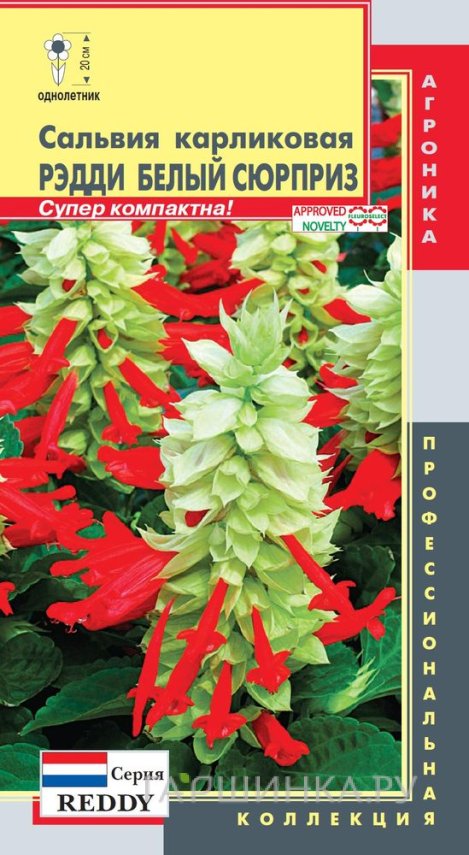 Семена Сальвия Рэдди Белый Сюрприз (серия Reddy) карликовая