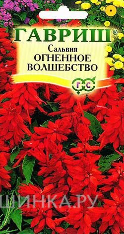Семена Сальвия Огненное волшебство* 0,1 г