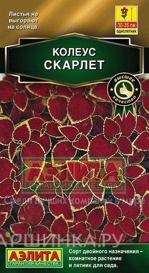 Семена Колеус блюме Скарлет