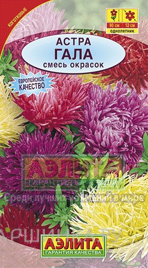 Семена Астра Гала, смесь окрасок ц/п