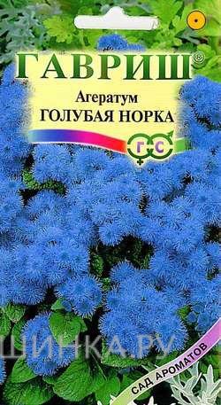 Семена Агератум Голубая норка* 0,1г