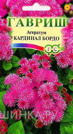 Семена Агератум Кардинал бордо* 0,1г