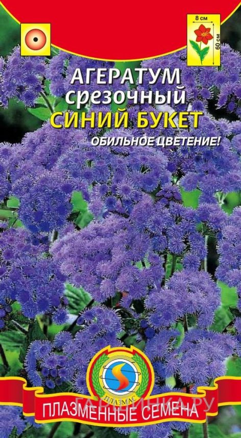 Семена Агератум срезочный Синий букет
