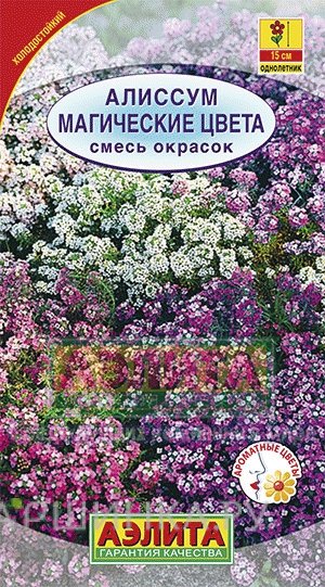 Семена Алиссум Магические цвета, смесь окрасок