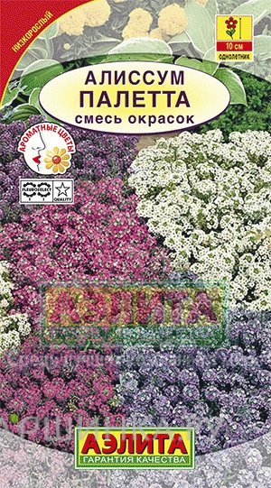Семена Алиссум Палетта, смесь окрасок