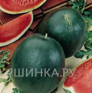 Семена Арбуз Сахарный малыш NEW 200%  2г