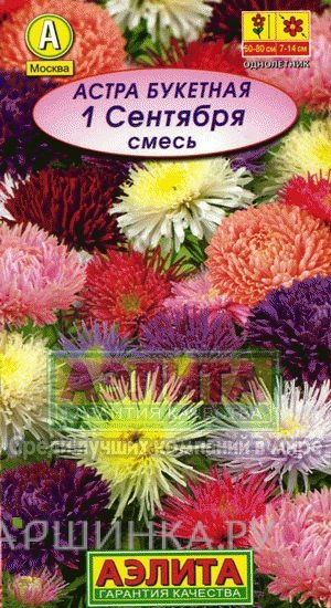 Семена Астра 1 сентября, смесь окрасок, Лидер
