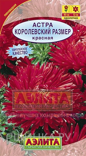 Семена Астра Королевский размер красная