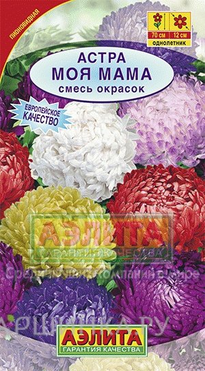 Семена Астра Моя мама, смесь окрасок ц/п