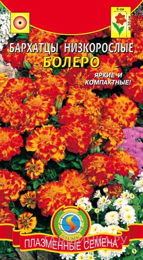Семена Бархатцы низкорослые Болеро