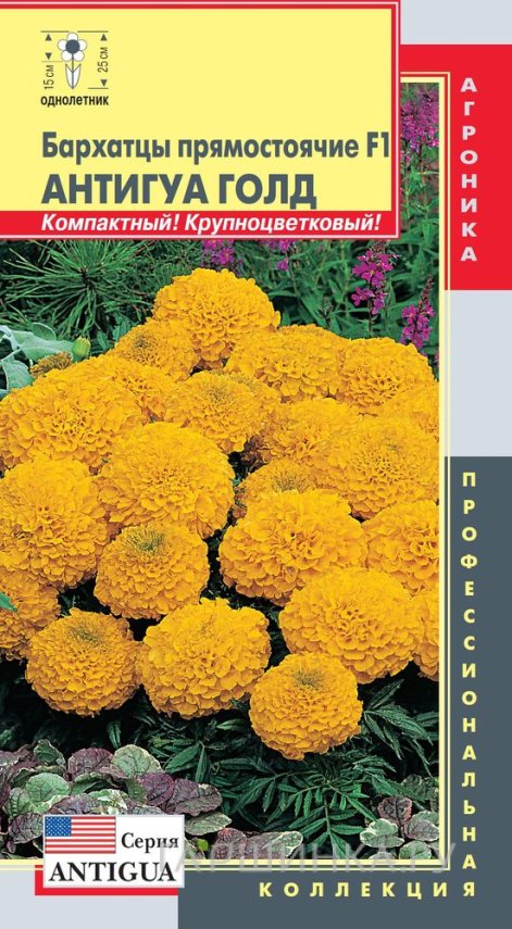 Семена Бархатцы пр. F1 (серия Antigua) Антигуа Голд