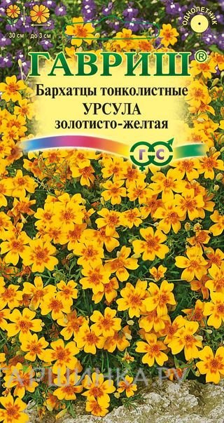 Семена Бархатцы Урсула золотисто-желтая тонколистные (Гавриш), 0,05 г