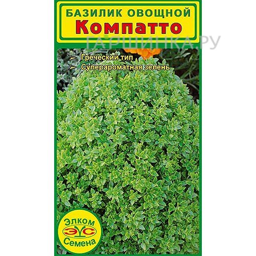 Семена Базилик Компатто (1 гр.)