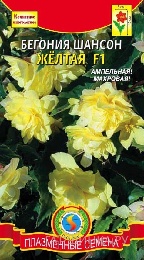 Семена Бегония Шансон желтая F1 клубневая ампельная