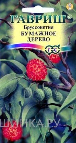 Семена Бруссонетия Бумажное дерево* 3 шт