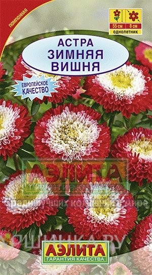 Семена Астра Зимняя вишня помпонная ц/п