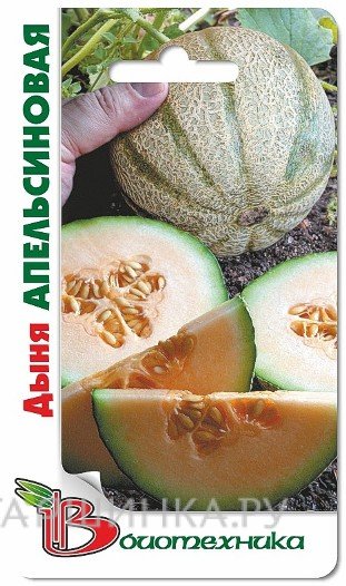 Семена Дыня Апельсиновая