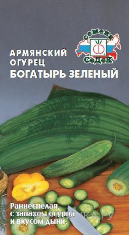Семена Дыня Армянский огурец 'Богатырь зелёный'