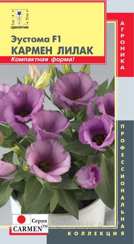 Семена Эустома Кармен Лилак F1 (серия Carmen)