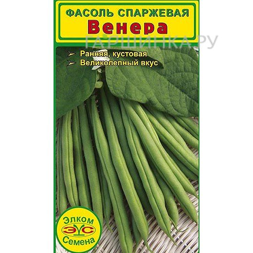 Семена Фасоль спаржевая Венера (5 гр.)