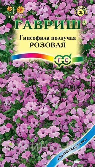 Семена Гипсофила ползучая Розовая 0,1г
