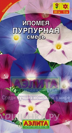 Семена Ипомея Пурпурная, смесь окрасок