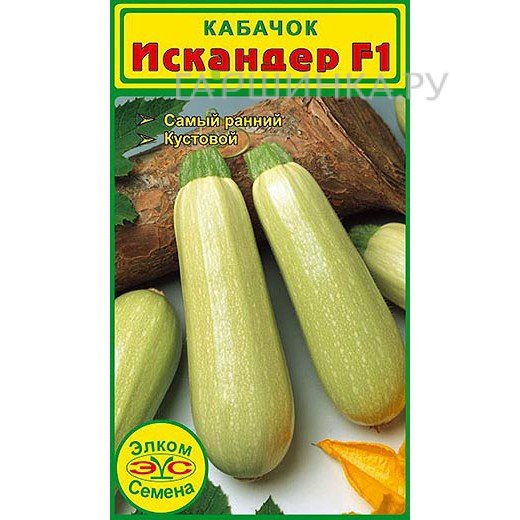 Семена Кабачок Искандер F1 (5 сем.)