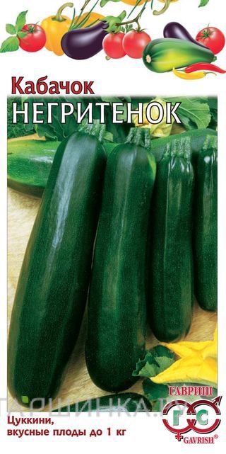 Семена Кабачок Негритенок  ХИТ*3