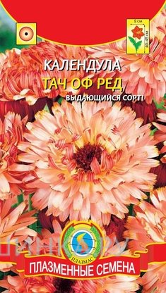 Семена Календула Тач оф Ред