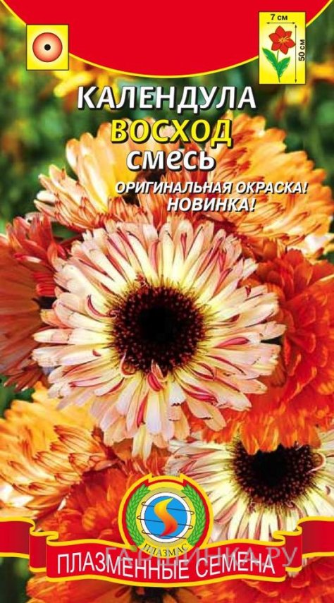 Семена Календула Восход смесь